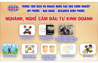 NGÀNH, NGHỀ CẤM ĐẦU TƯ KINH DOANH