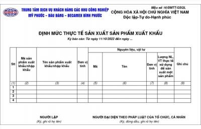 ĐỊNH MỨC THỰC TẾ ĐỂ GIA CÔNG, SẢN XUẤT XUẤT KHẨU LÀ GÌ?
